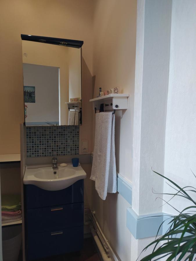 Chambre Dans Appartement De Caractere Dole Kültér fotó